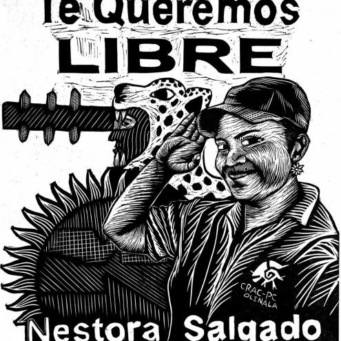 Nestora-libre_